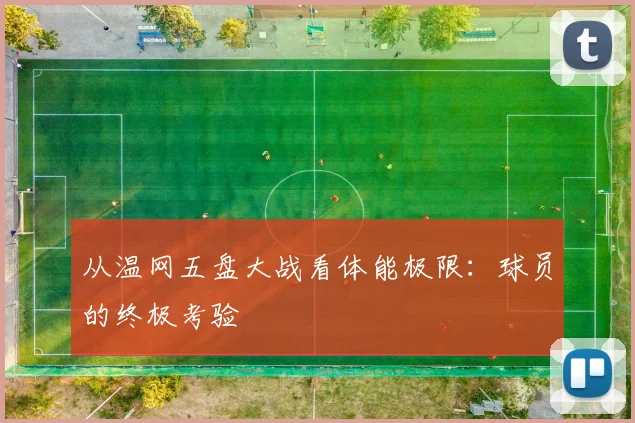 从温网五盘大战看体能极限：球员的终极考验